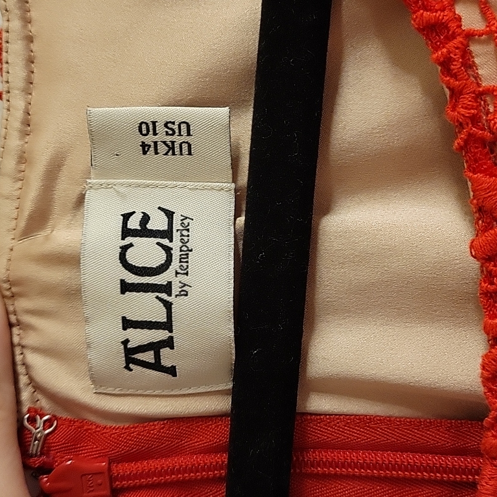 Alice by Temperley Dress - Picture 3 of 6